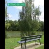 Vignette